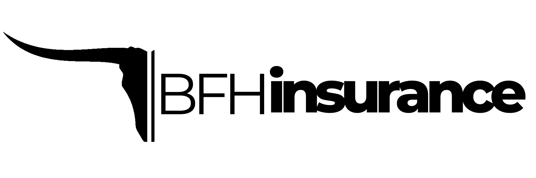 BFH Insurance